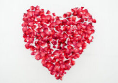 Honeymoon or wedding anniversary,  bed topped with rose in heart shape over white sheet.